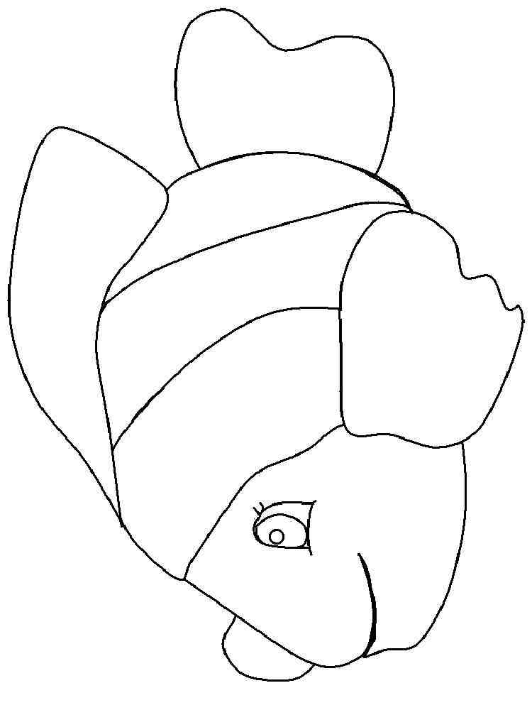 Clownfish Coloring Pages - Clownfish Drawing at GetDrawings | Free